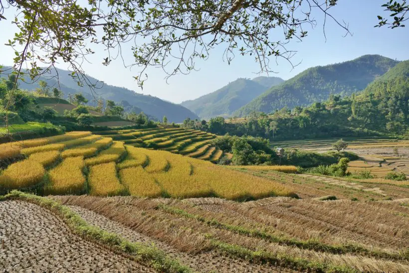 Chormara